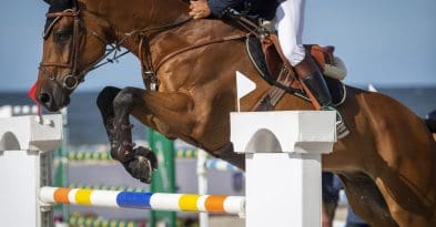 salto de obstáculos impulso caballo