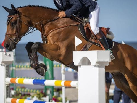 salto de obstáculos impulso caballo
