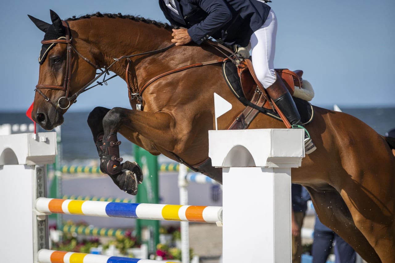 salto de obstáculos impulso caballo